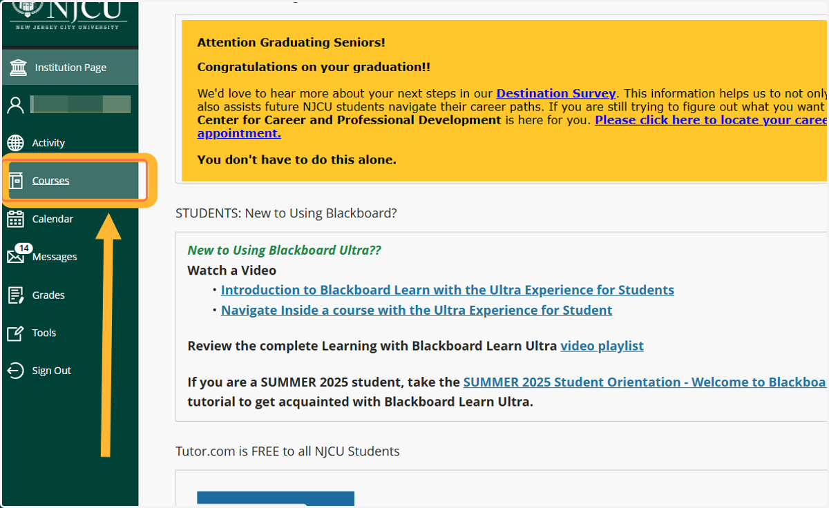 Next, click on Courses to find your NJCU courses.