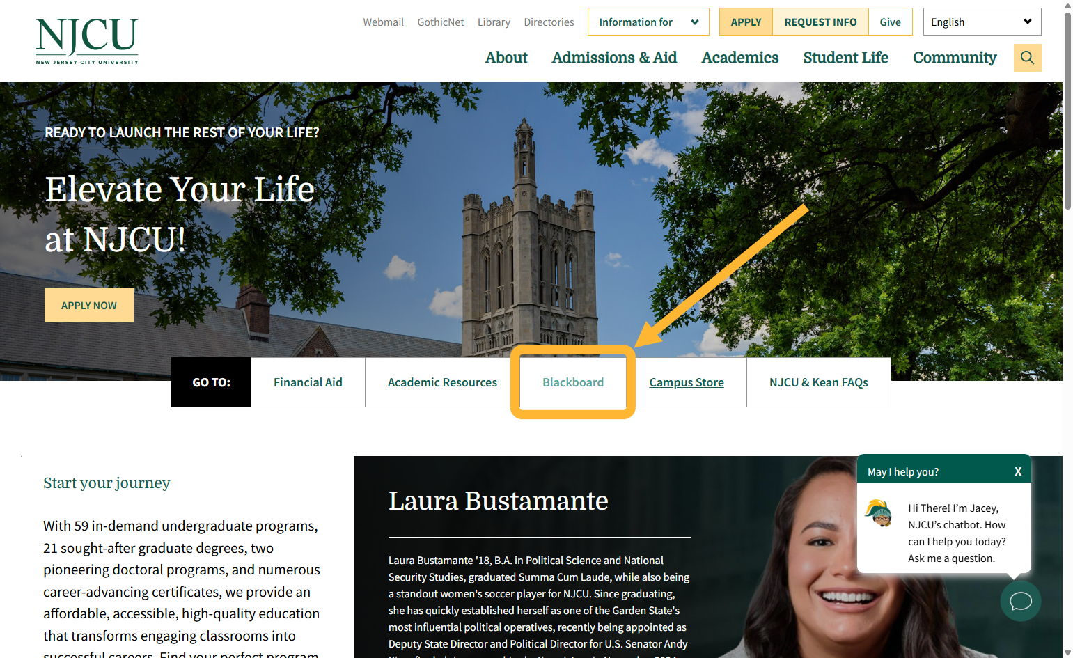 In the middle of the screen, you should see a link for Blackboard. Click on Blackboard