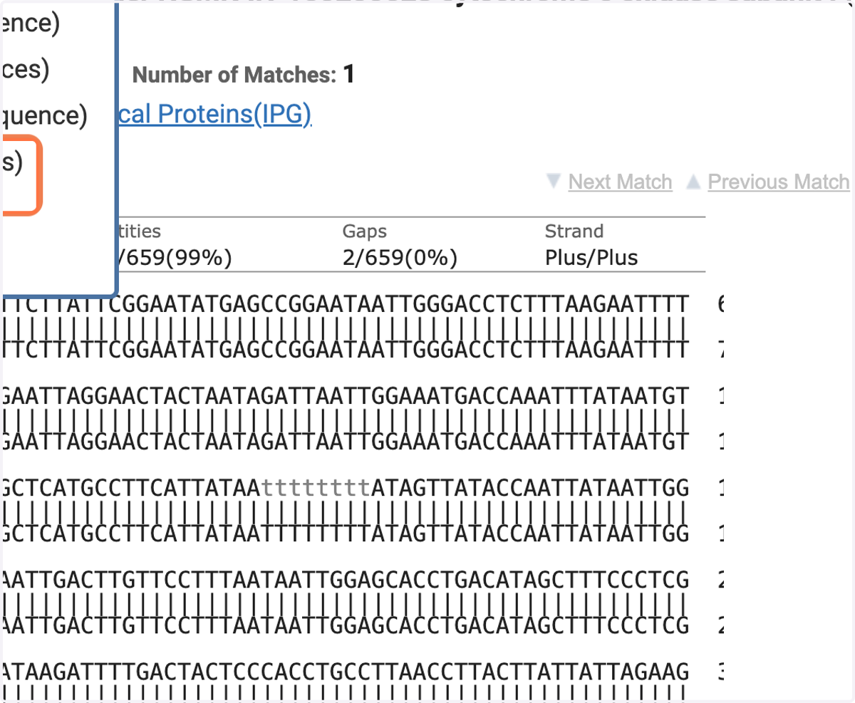 Select 'Text (aligned sequences)'.