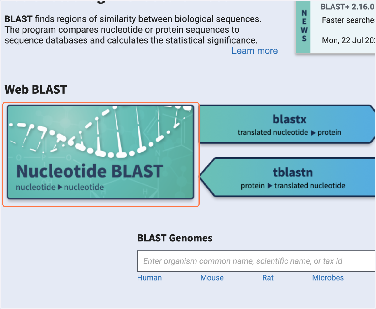 Select Nucleotide BLAST.