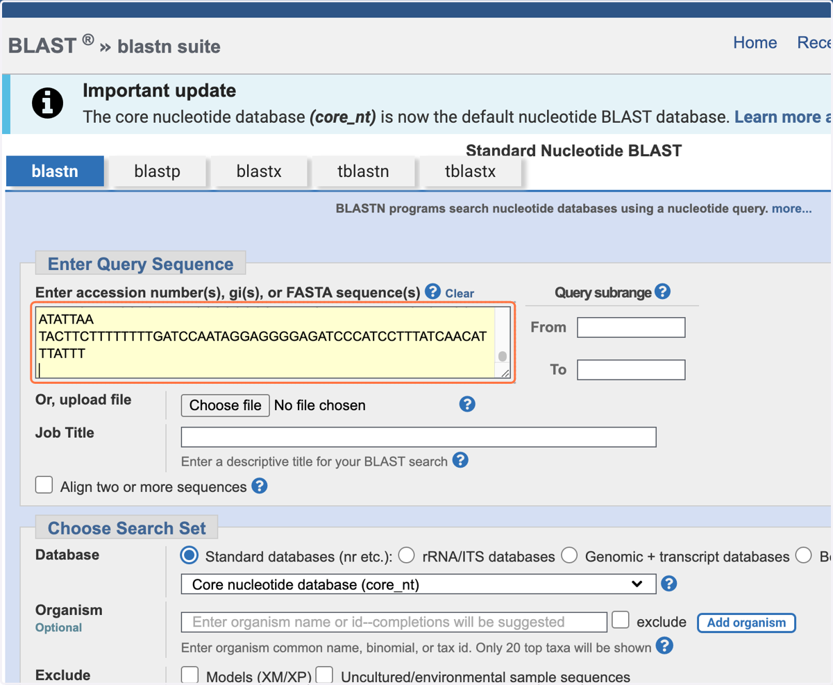 On the blastn tab, in the white box in the 'Enter Query Sequence' section, copy and paste the >, name and sequence for Barcode 1.