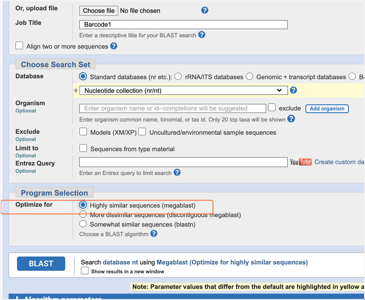 In the 'Program Selection' section, optimise for 'Highly similar sequences (megablast)'.