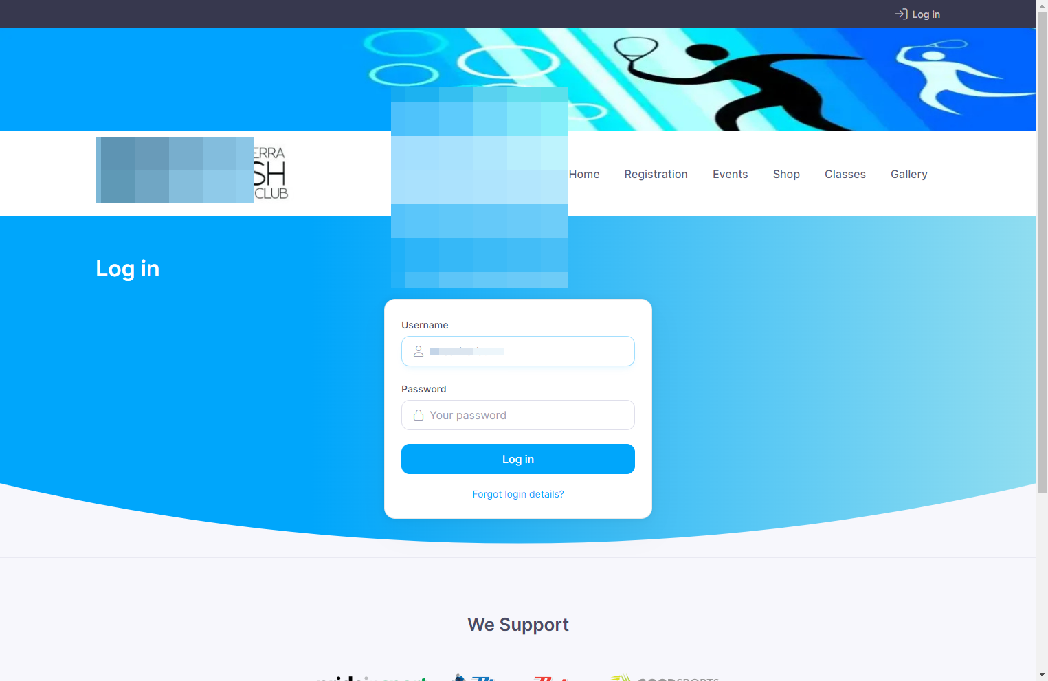 Enter your username and password then log in