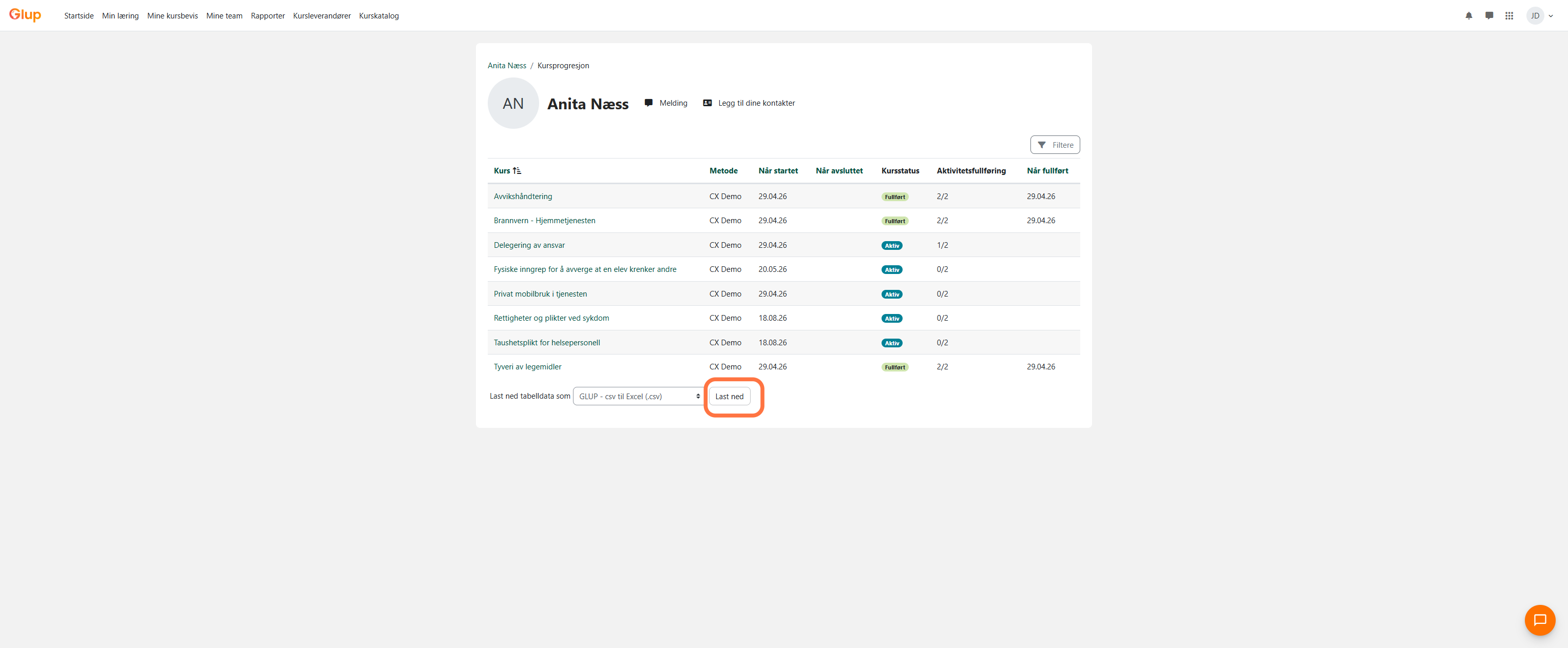 Klikk på «Last ned» for å laste ned rapporten til Excel