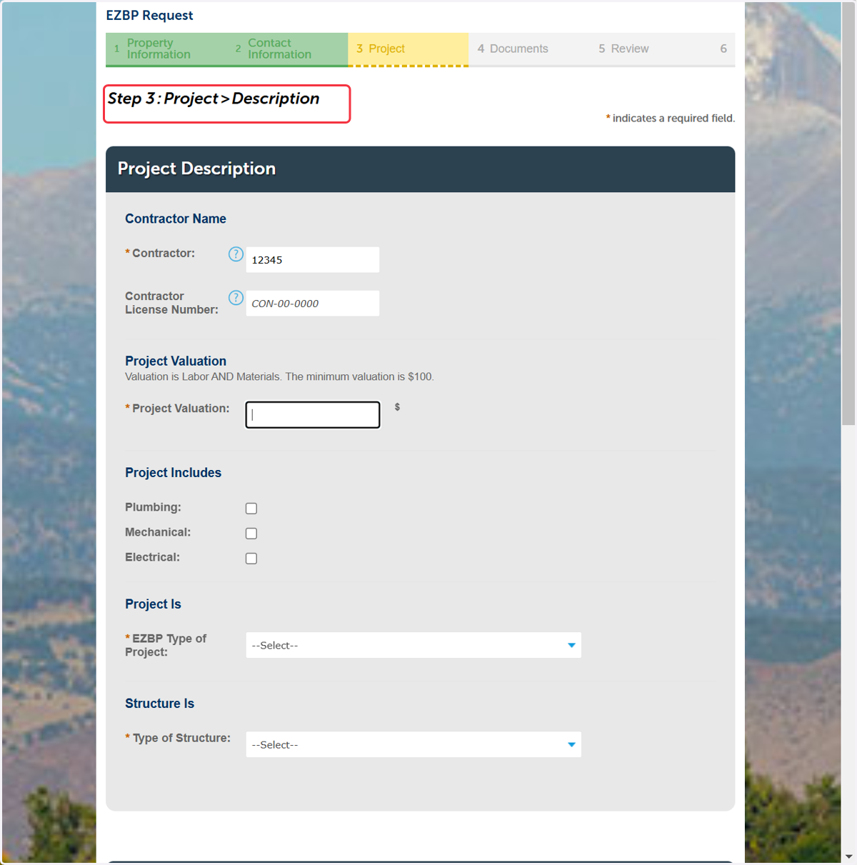Enter Project Information