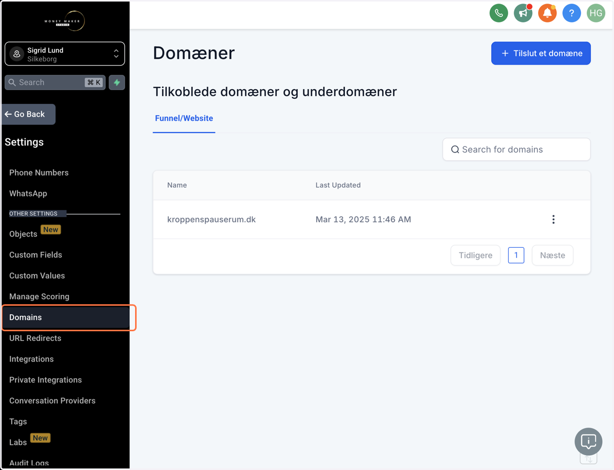 Klik på Domains i menuen Settings/Indstillinger
