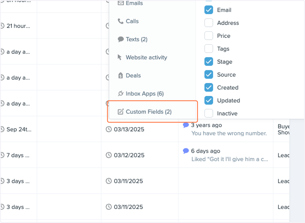 Click on Custom Fields (2)