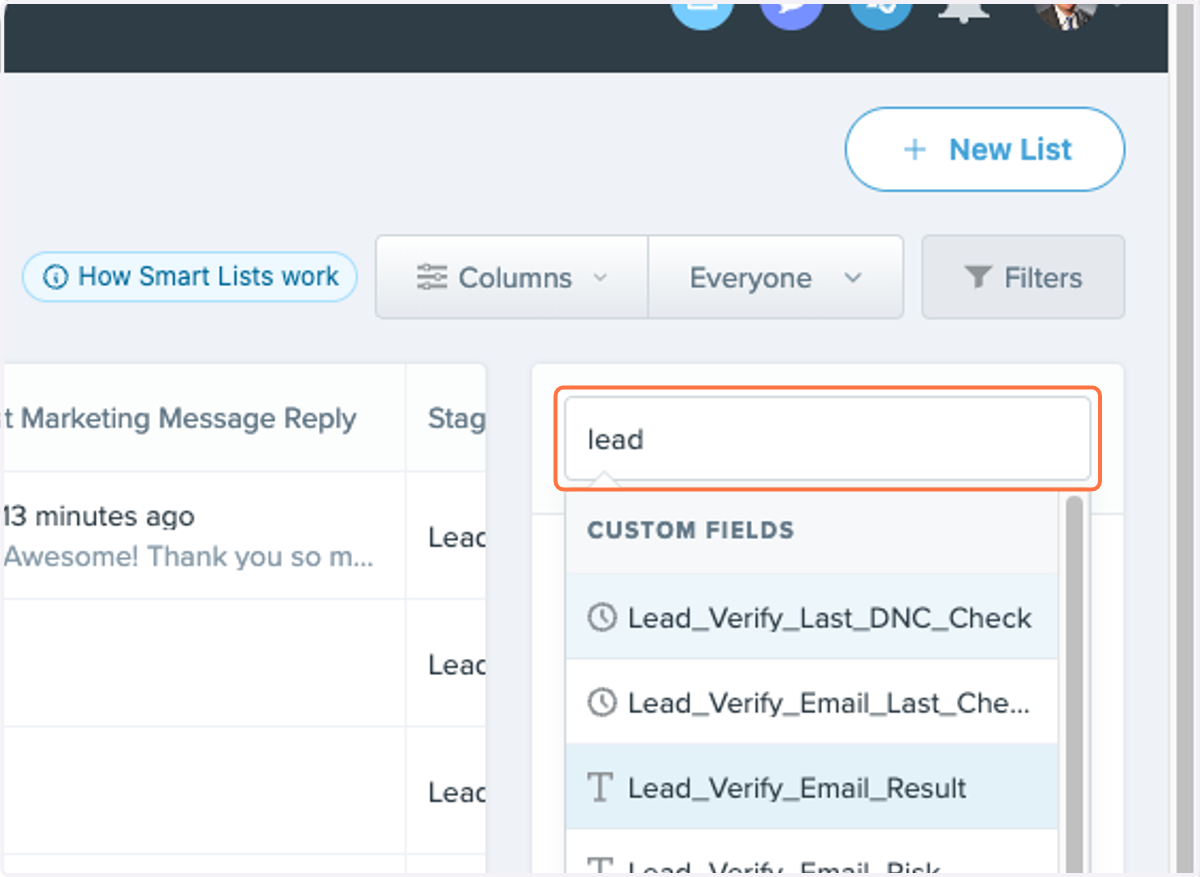 Click Filetr and Type "lead"