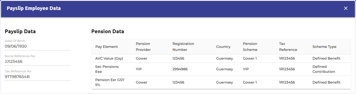 In this popup, you can view cached employee data. Since multiple pension schemes could be applied to the same payslip, all relevant information will be displayed in this table.