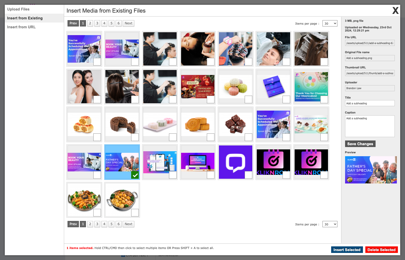 Select the image you want to upload by ticking the checkbox, then click "Insert Selected.