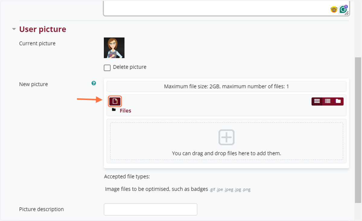 You can upload a profile picture by clicking on the file icon...