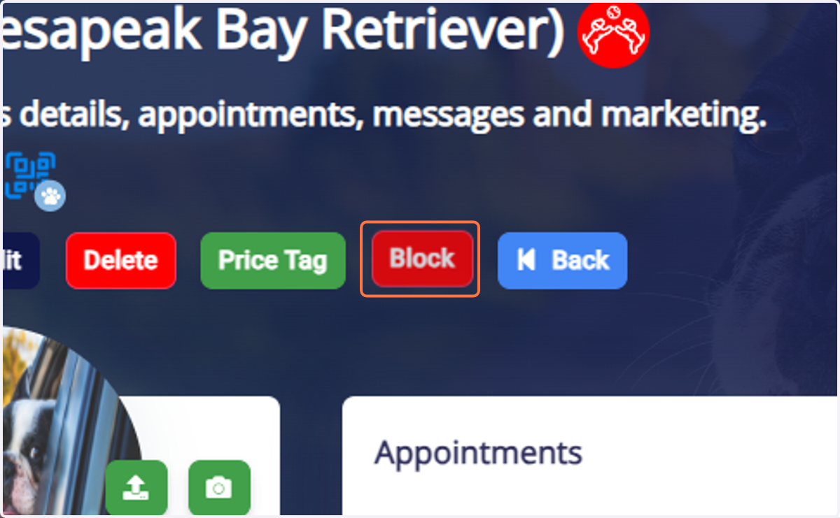Click on Block