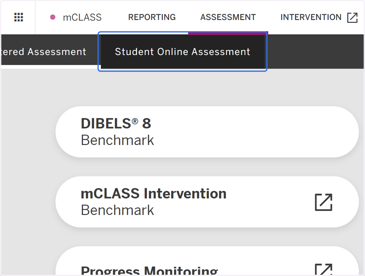Click on Student Online Assessment