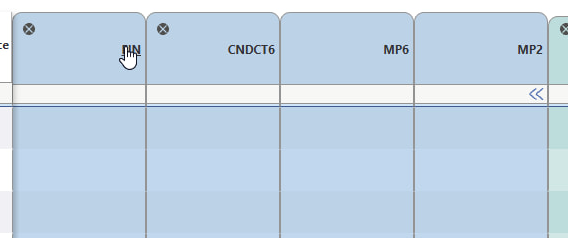 The FIN (final) column will show up. Click on it.