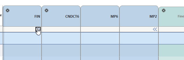 Click on the arrows under FIN to expand.