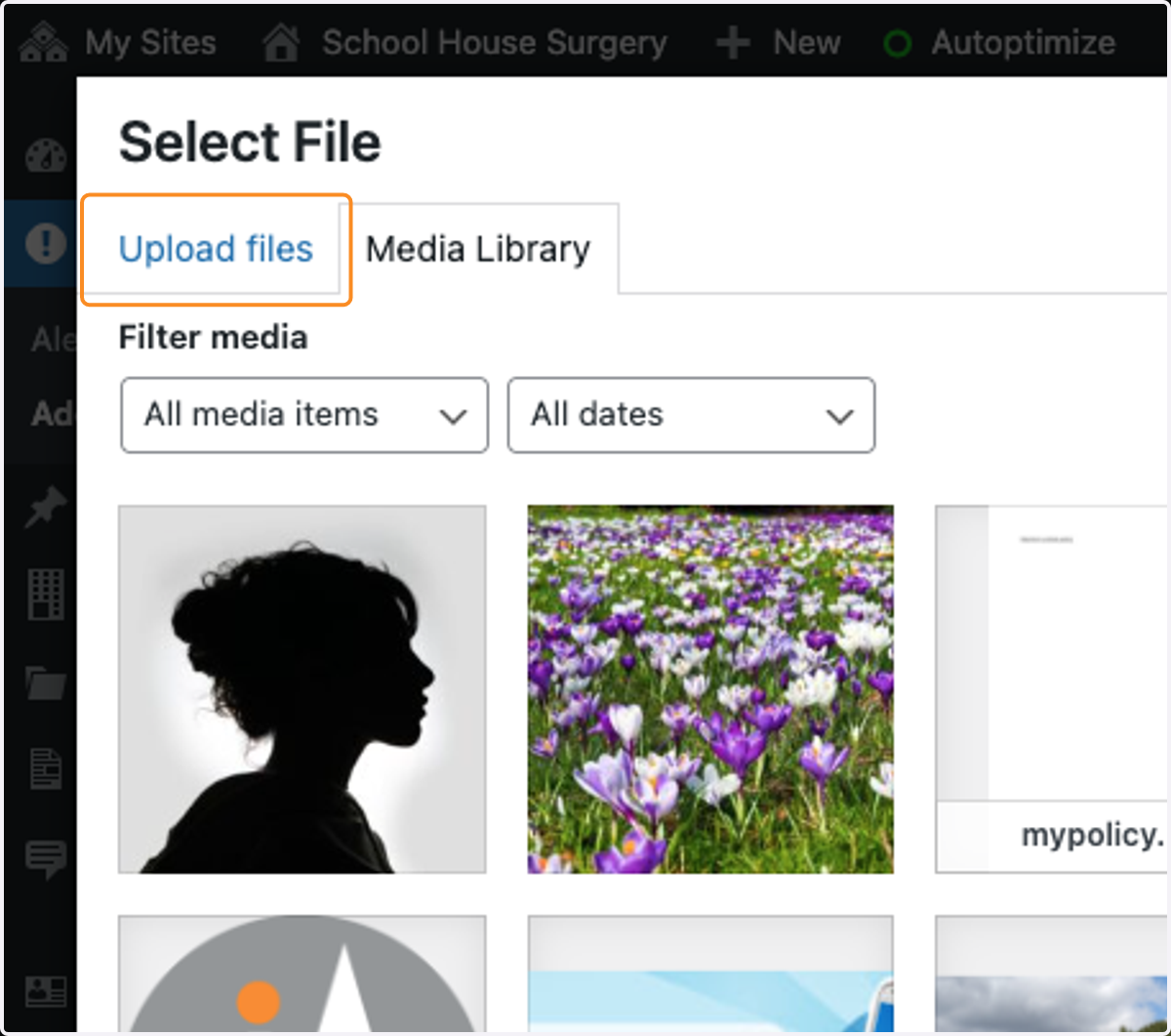 Click on the Upload files tab