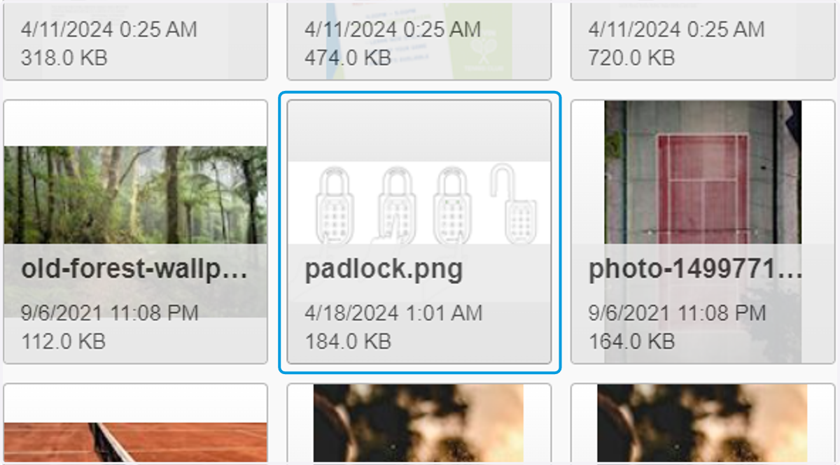 Click on the uploaded image