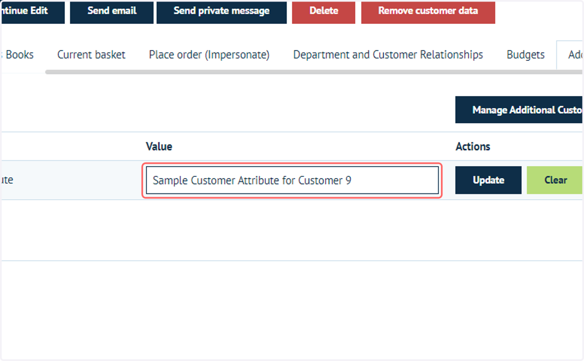 Enter a value for the Customer Attribute