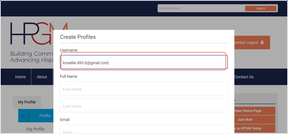 Enter their email address as the username