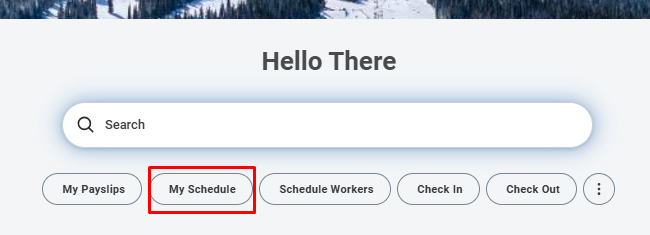 Use Quick Button from Home Screen