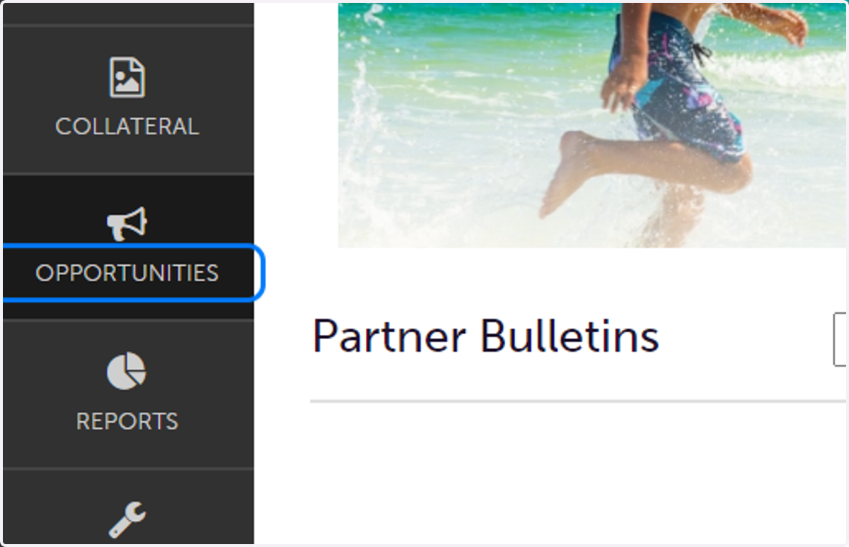 Click on OPPORTUNITIES