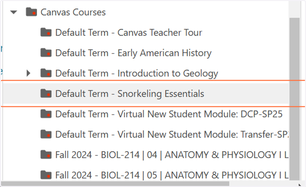Click on the Canvas course where you want to copy the video.