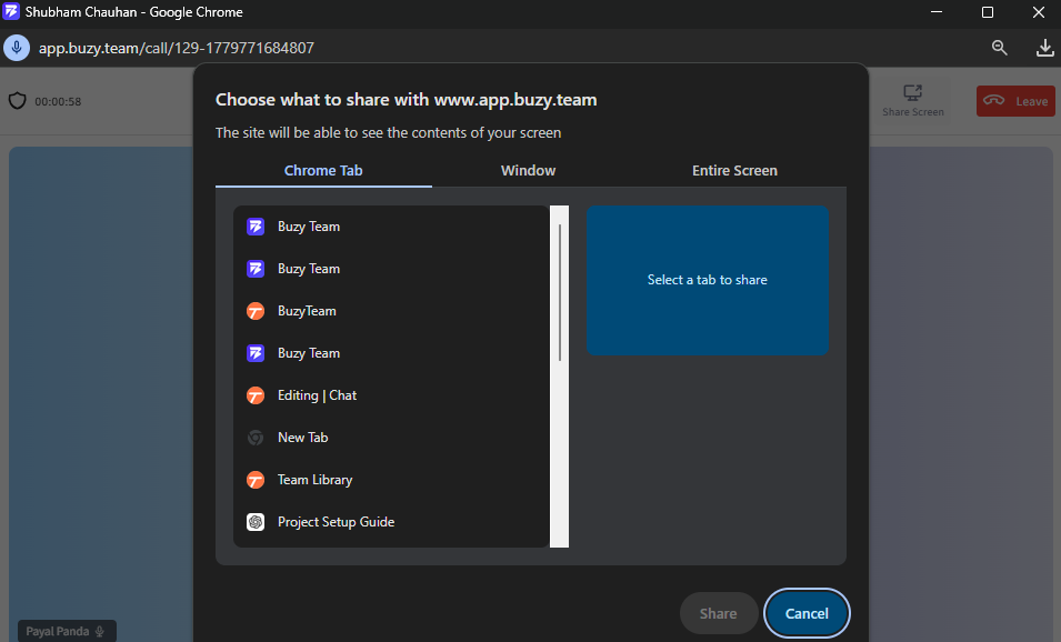The Screen Sharing window allows users to present their work, applications, documents, or browser tabs during an active meeting session.