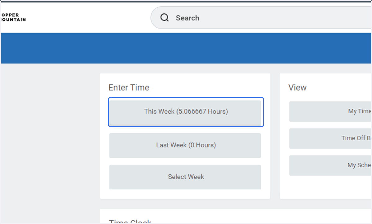 Under the Enter Time workspace, click on the week you need to enter your Cash Tips
