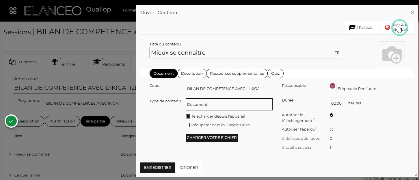 Cliquer sur "Aller au site Web"