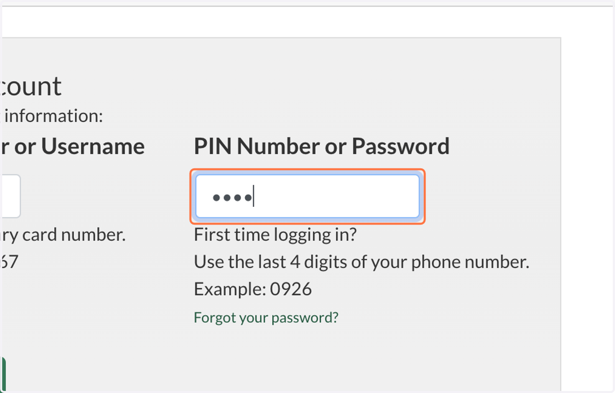 Type in your PIN