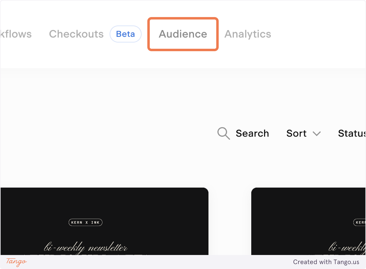 Once you've sign in or created your account, Click on Audience