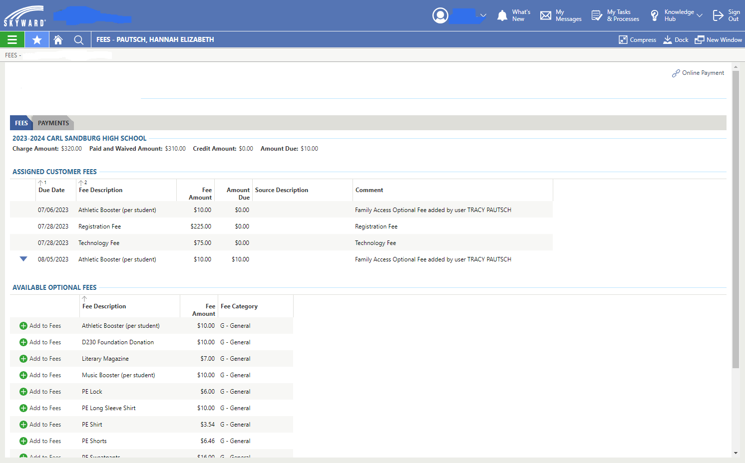 Click on Online Payment in the upper right corner.