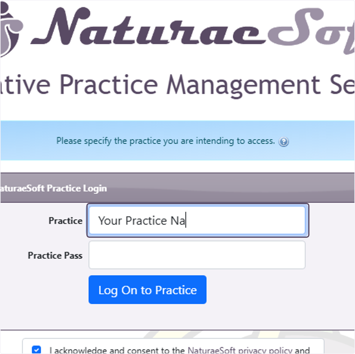 Enter "Your Practice Name" to identify what practice's servic you are logging in to use.