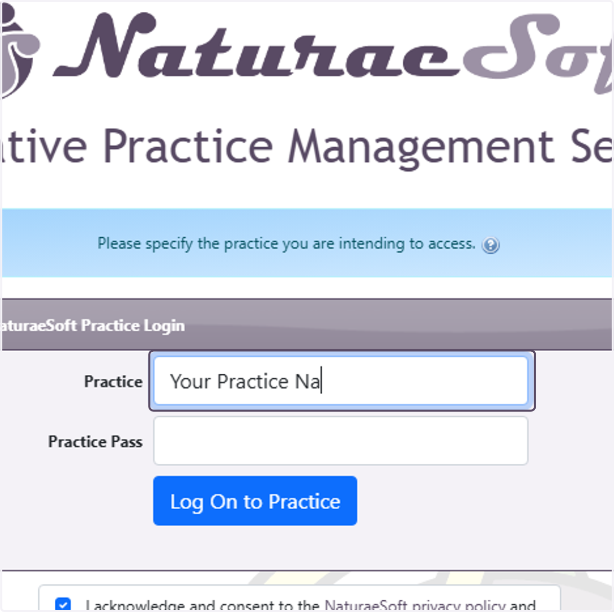 Enter "Your Practice Name" to identify what practice's servic you are logging in to use.