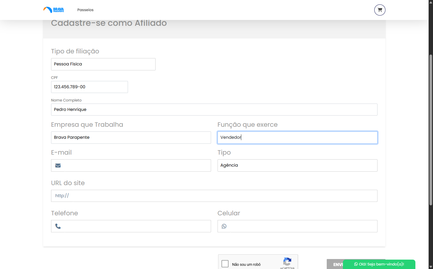 Sua função na empresa