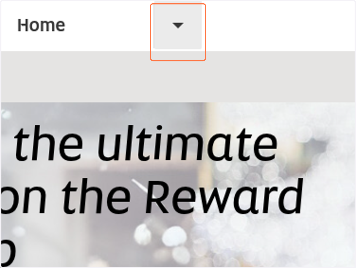 Click on dropdown trigger