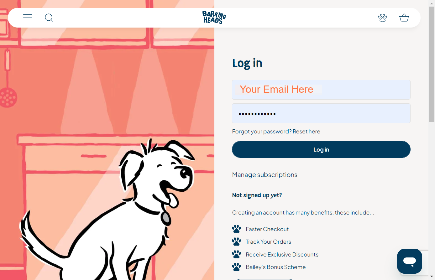 Type your account email address and password