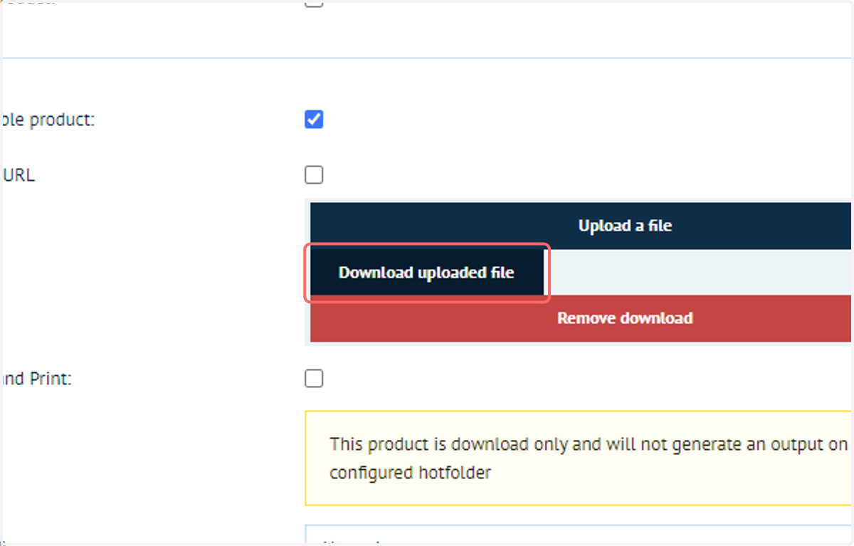 Navigate to the downloadable product options and download the associated file