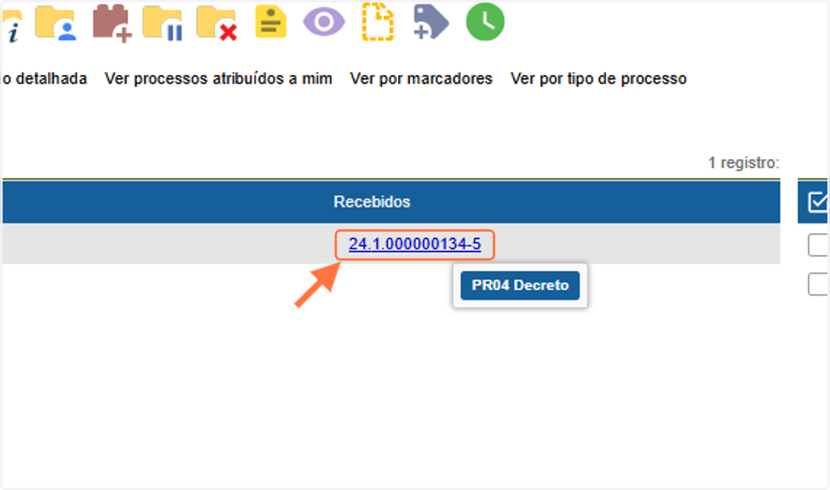 Acessar processo