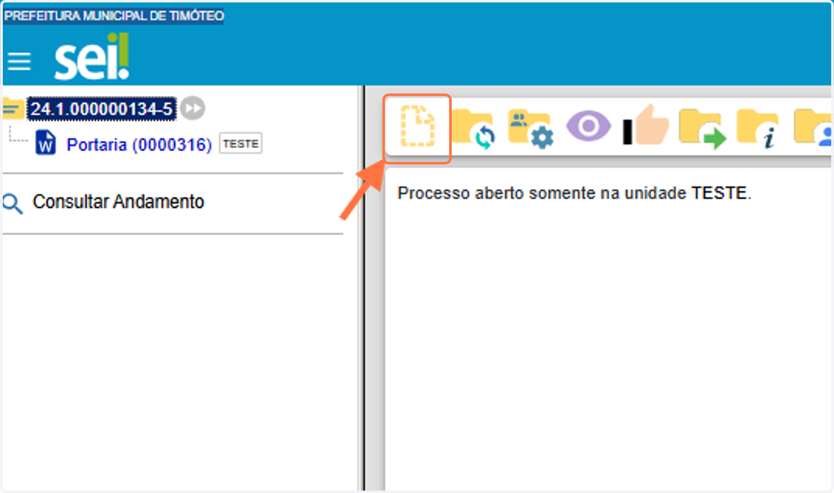 Incluir documento