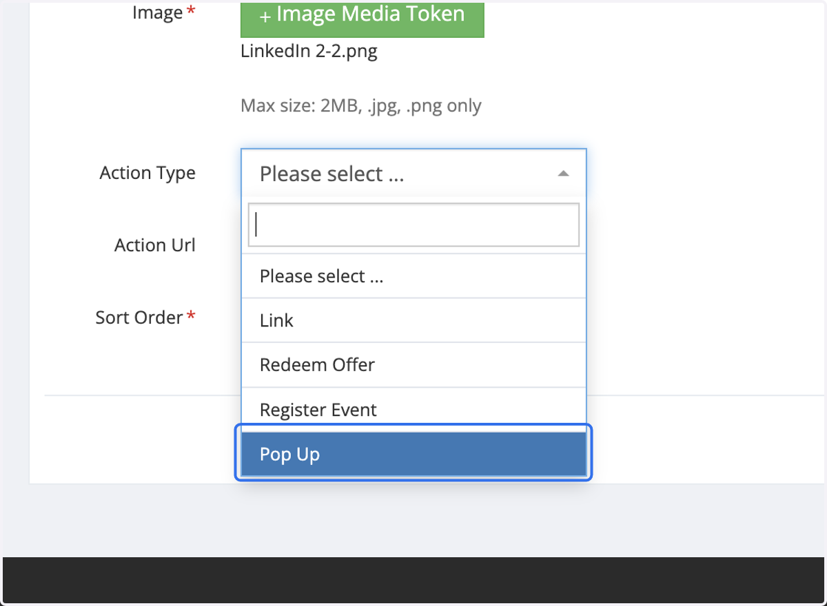 Select the Action Type to determine how you want the image to be displayed.