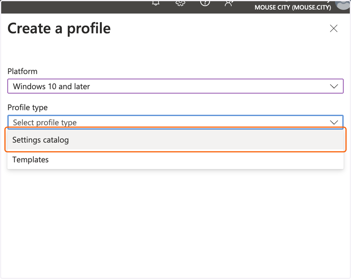 Click on Settings catalog