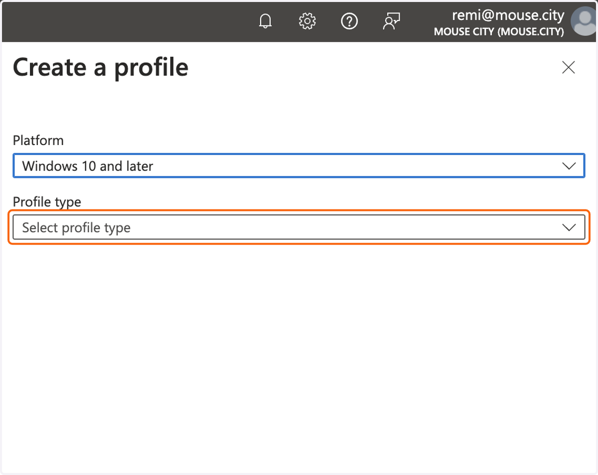 Click on Profile type