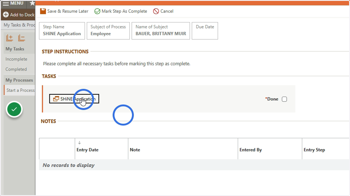 Click the SHiNE Application Form