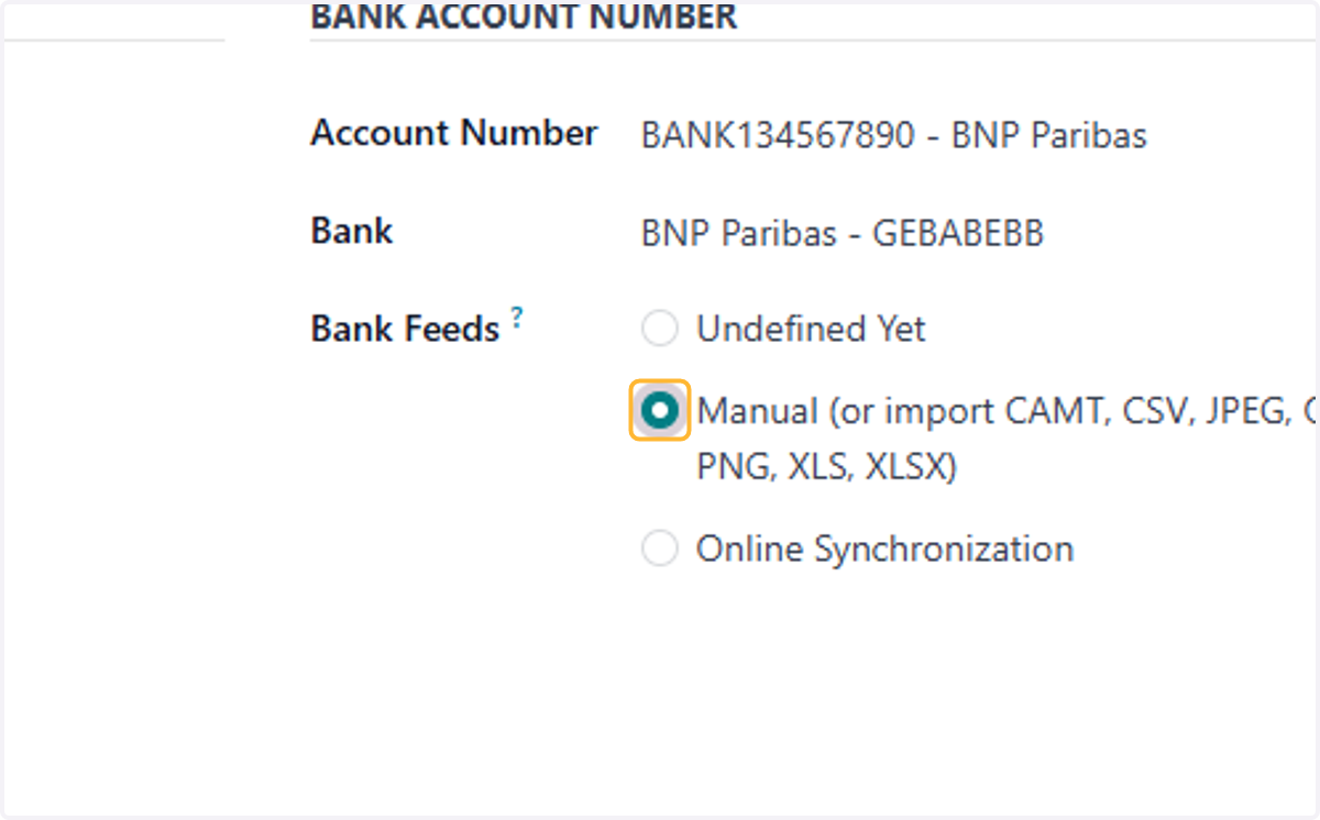 Select Manual (or import CAMT, CSV, JPEG, OFX, PDF, PNG, XLS, XLSX)