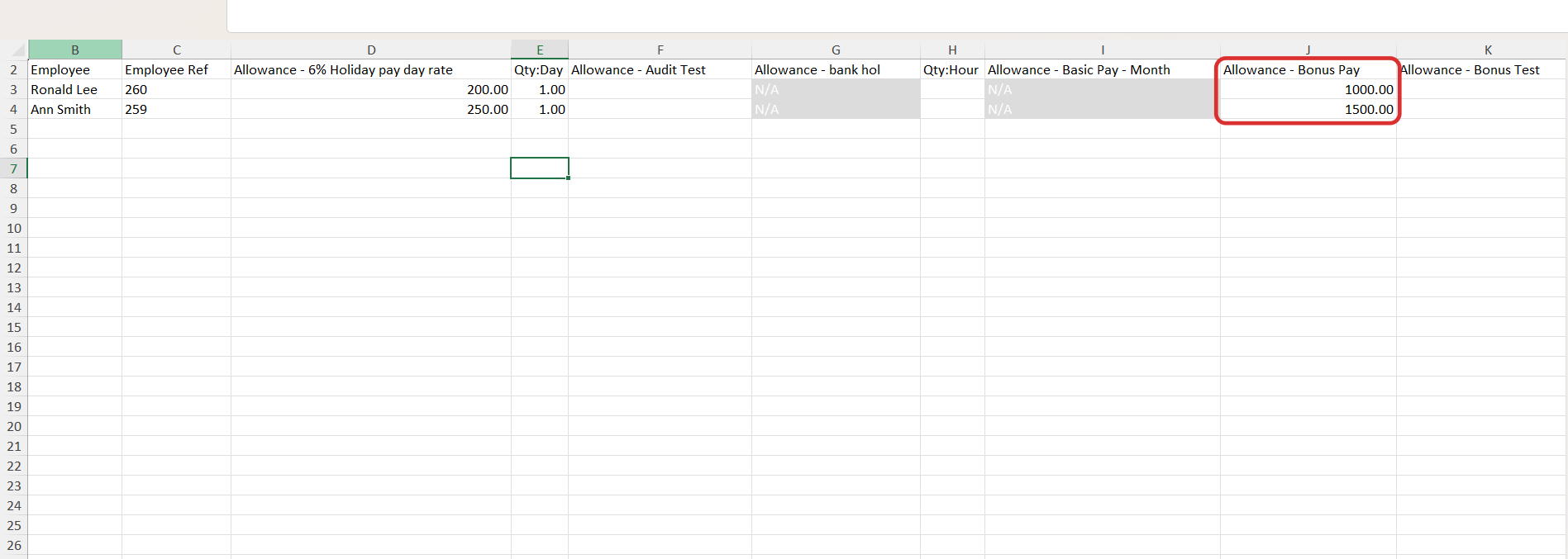 Fill in the necessary pay element details for each employee, including values like bonuses, or holiday allowance.