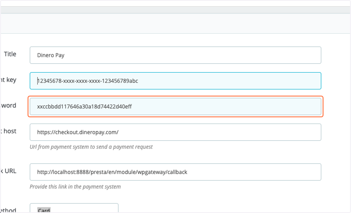 Add the password which will be provided by Dinero Pay