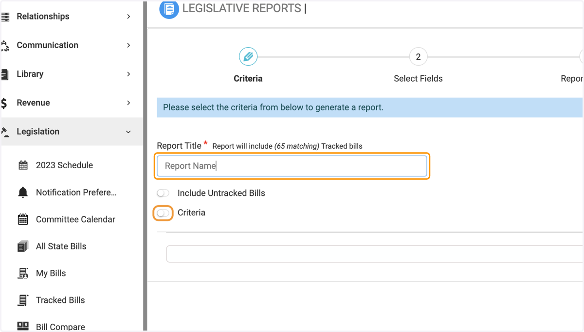 Type in the name of your report