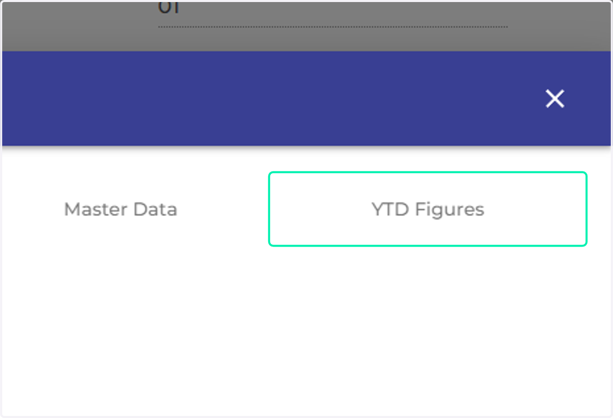 Click on YTD Figures