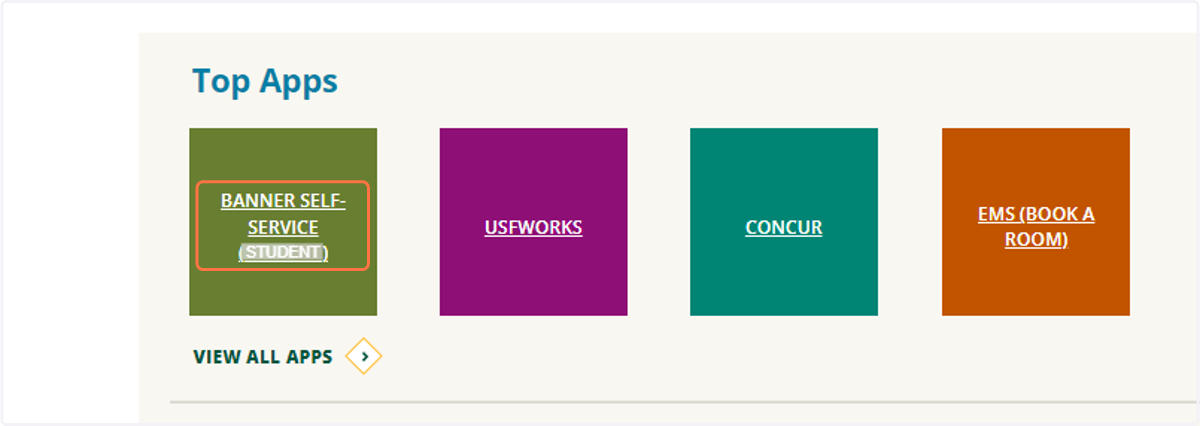 Click on BANNER SELF-SERVICE (STUDENT)